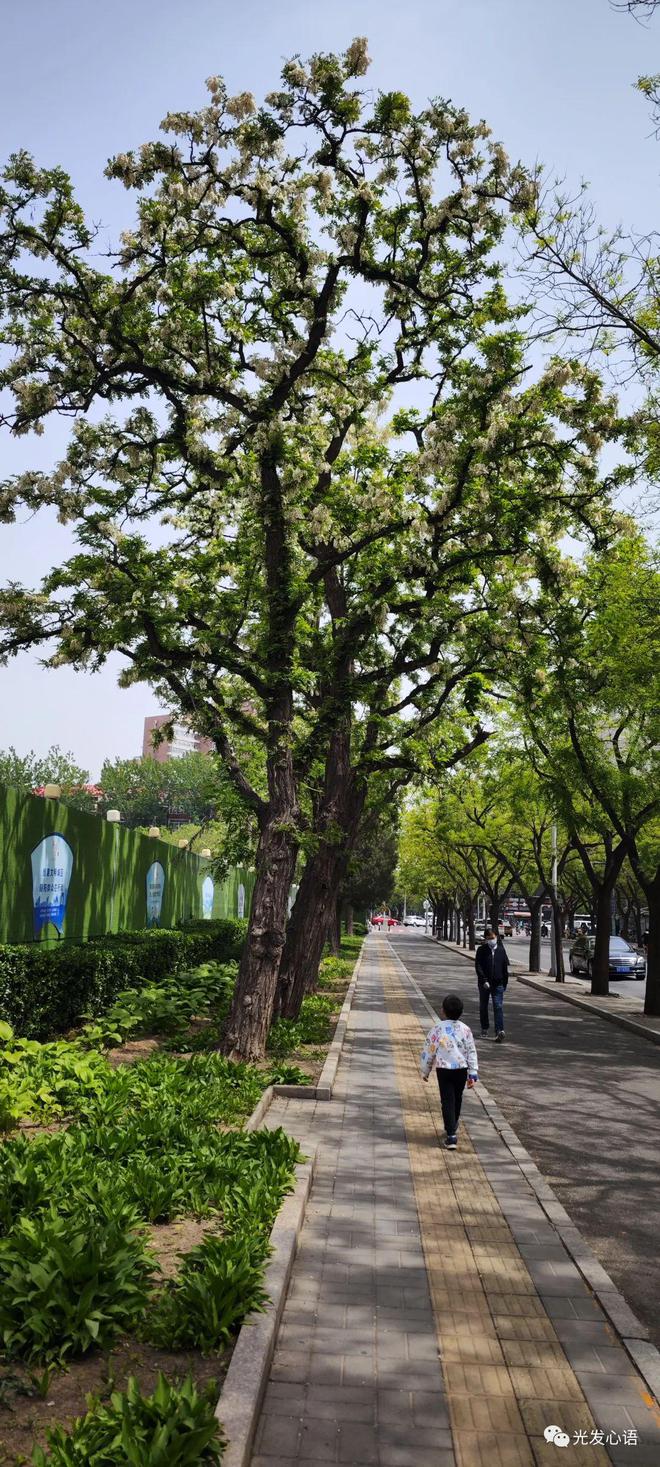 建立社交网络的方法_OKX钱包APP的社交网络发展 | 用户如何建立更广泛的联系？_中学生广泛社交好处是辩论赛