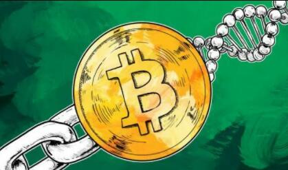 bitpie钱包官网最新版国外炒币APP指标软件推荐：十大数字货币交易所及交易平台详解