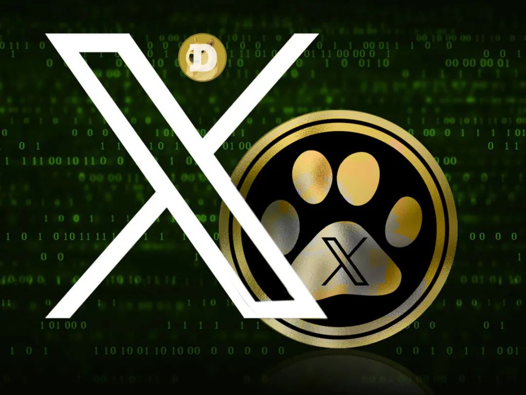 了解狗狗币的社区治理机制：去中心化如何实现_狗狗币社区怎么玩_狗狗币技术