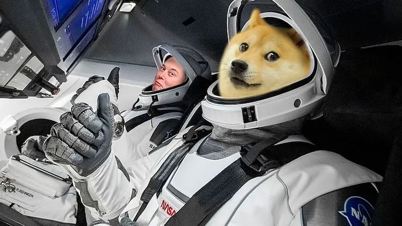狗狗币技术_狗狗币社区怎么玩_了解狗狗币的社区治理机制：去中心化如何实现