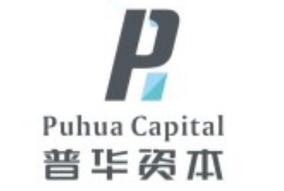 货币的虚拟化好处_虚拟货币的社区力量：如何影响项目发展与市场动态_货币虚拟化的原因