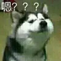 如何掌握im钱包的最新版本更新信息？_职业决策的前提是信息的掌握_最新的钱包