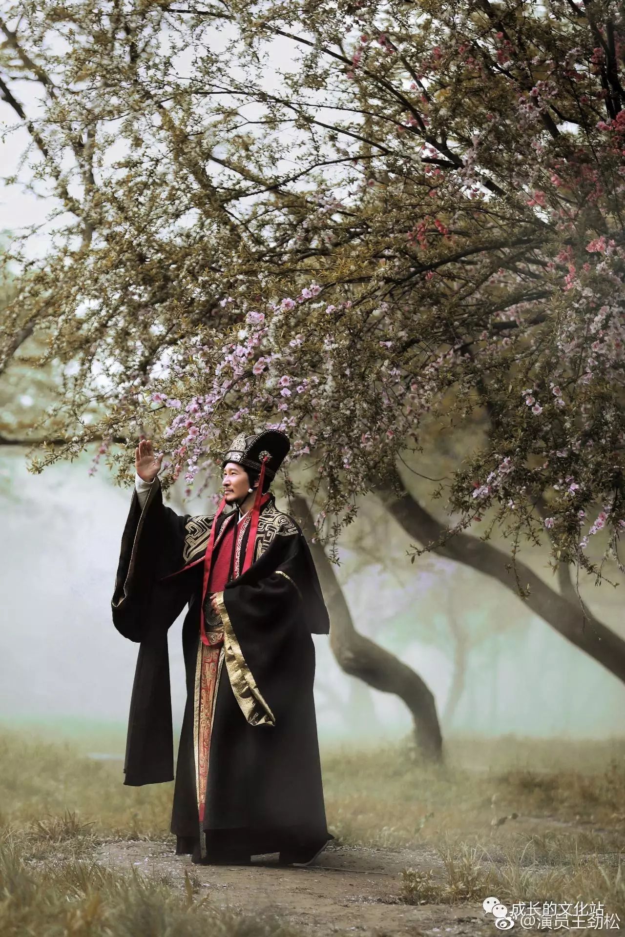 荀彧与曹操的深厚关系_曹操跟荀彧怎么闹翻的_曹操的大臣荀彧