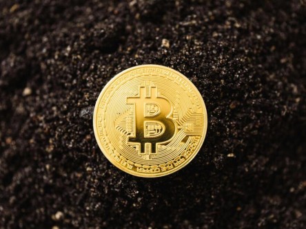 全球领先数字货币软件：手续费与市场占有率剖析，含比特币、以太坊