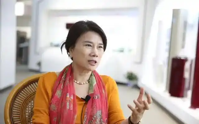 格力辟谣_董明珠停职审查事件的深入分析，格力电器何以应对舆论压力？_格力舆情