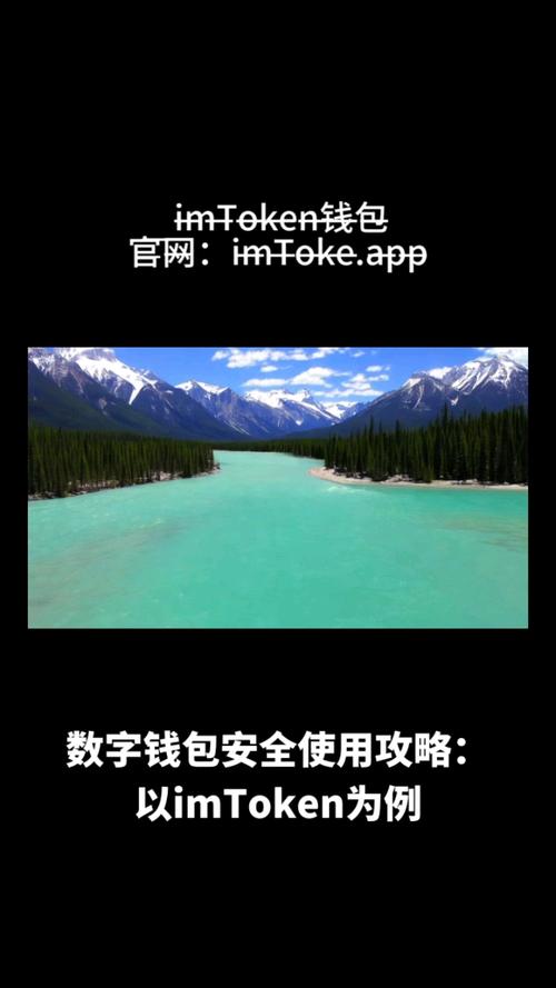 数字化时代使用im钱包App安卓版的隐私保护及安全措施