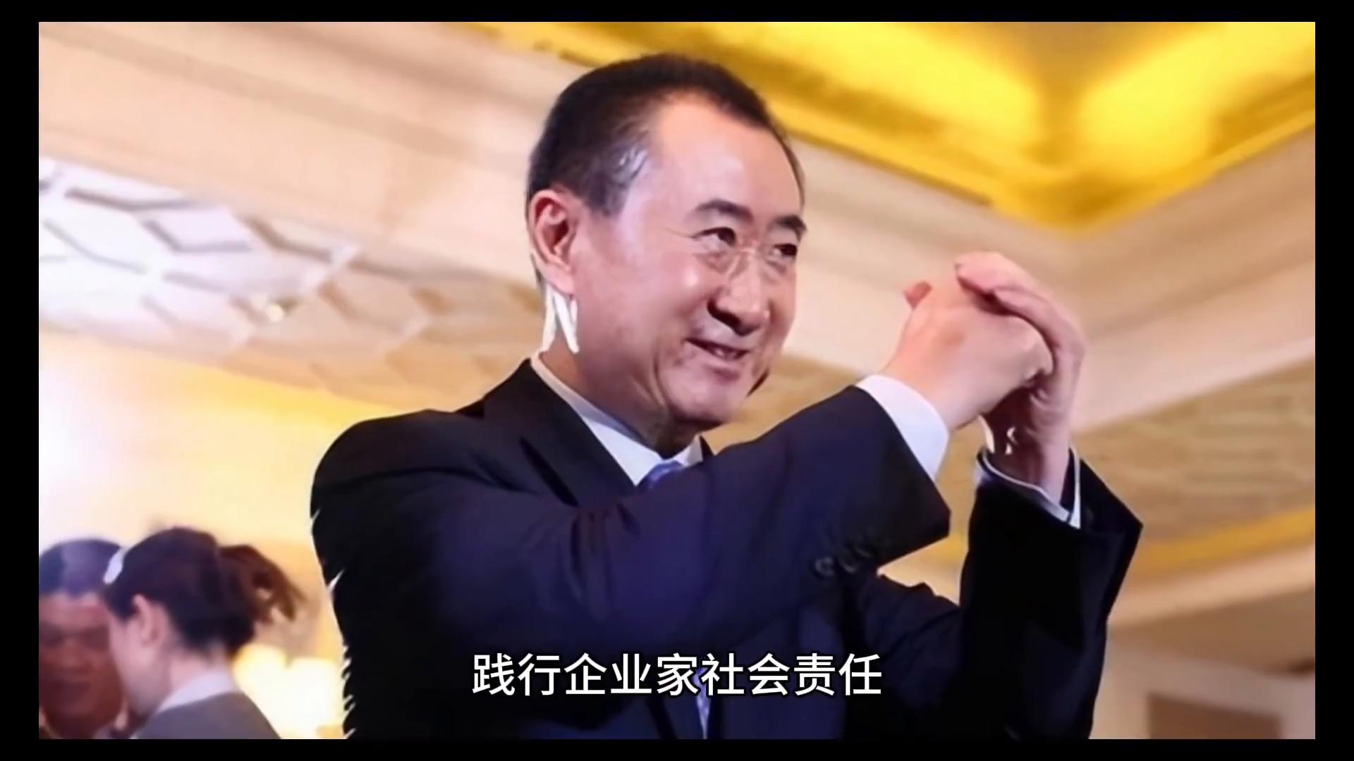 王健林对中国经济的贡献_王健林成功经验_王健林的贡献