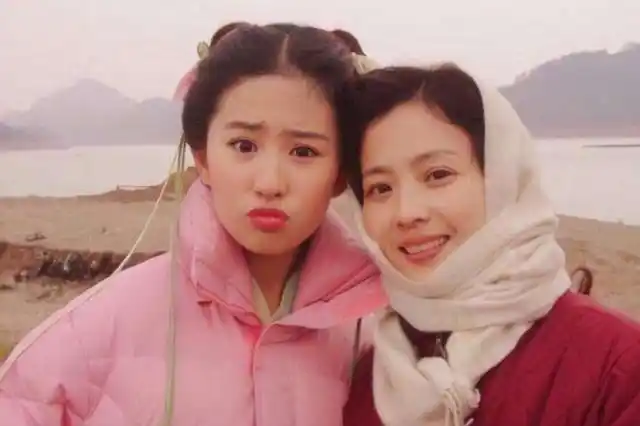 刘亦菲的商业价值_刘亦菲事业心强吗_刘亦菲的演艺事业与社会影响
