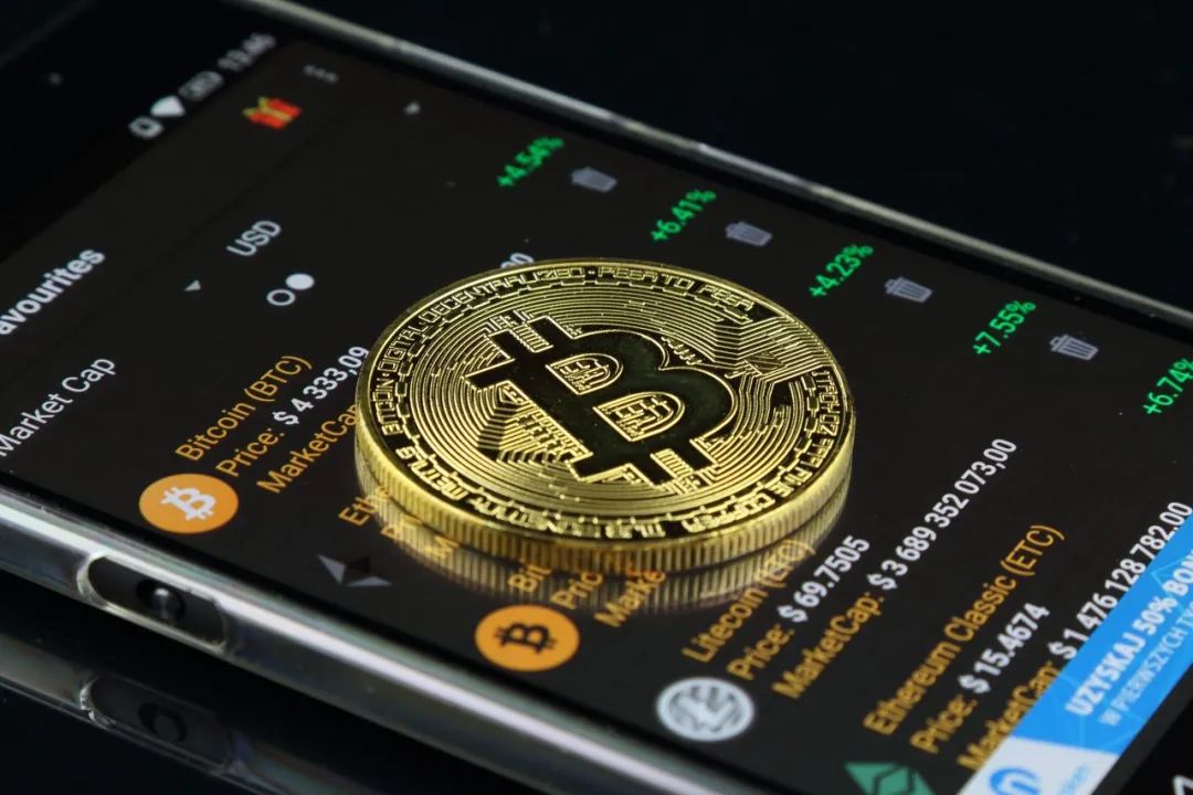 加密狗币是谁发行的_加密狗币前景_狗狗币与主流加密货币的比较：它在数字经济中的独特地位