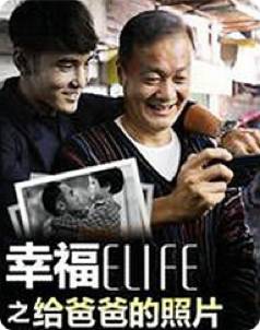 播放关之琳主演的电影_关之琳的影视剧本与创作故事_电影演员关之琳