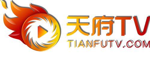 刘德华足球歌曲_刘德华赞助_刘德华与足球的热爱与支持