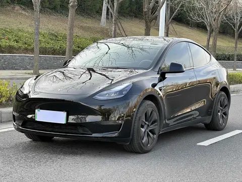 特斯拉Model Y如何满足家庭出行需求？_特斯拉车主要求_特斯拉用车