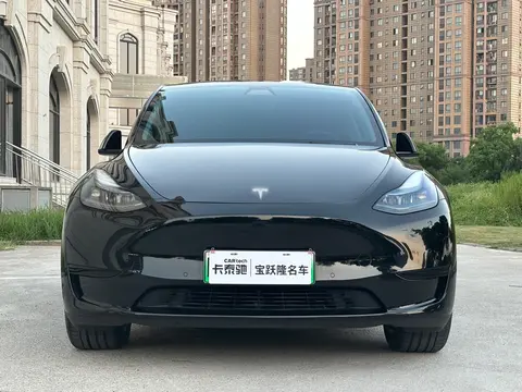2022款特斯拉Model Y后轮驱动版：家庭出行与环保性能的完美结合