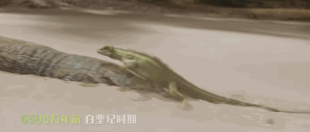 吴京与中国电影的崛起_电影崛起2021_电影崛起吴京中国演员