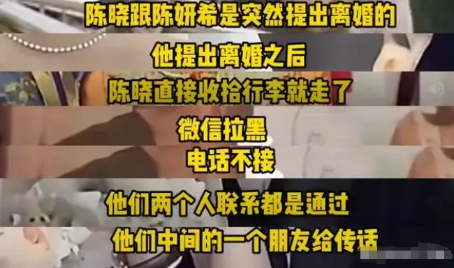 卓伟曝陈妍希与陈晓暂未离婚，男方绝情一年未见娃，背后原因引热议
