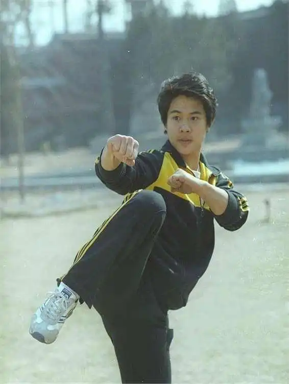 李连杰与中国武术的推广_李连杰武术大赛得到领导接见_李连杰武术大赛