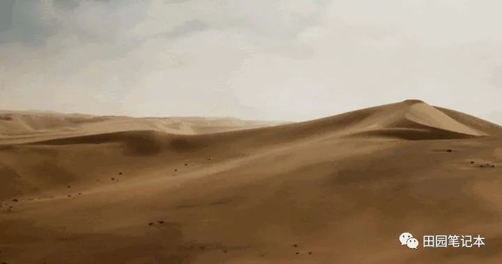 丁磊的人际网络与商业关系_网络人际交往的利与弊_图说人际心理关系论文