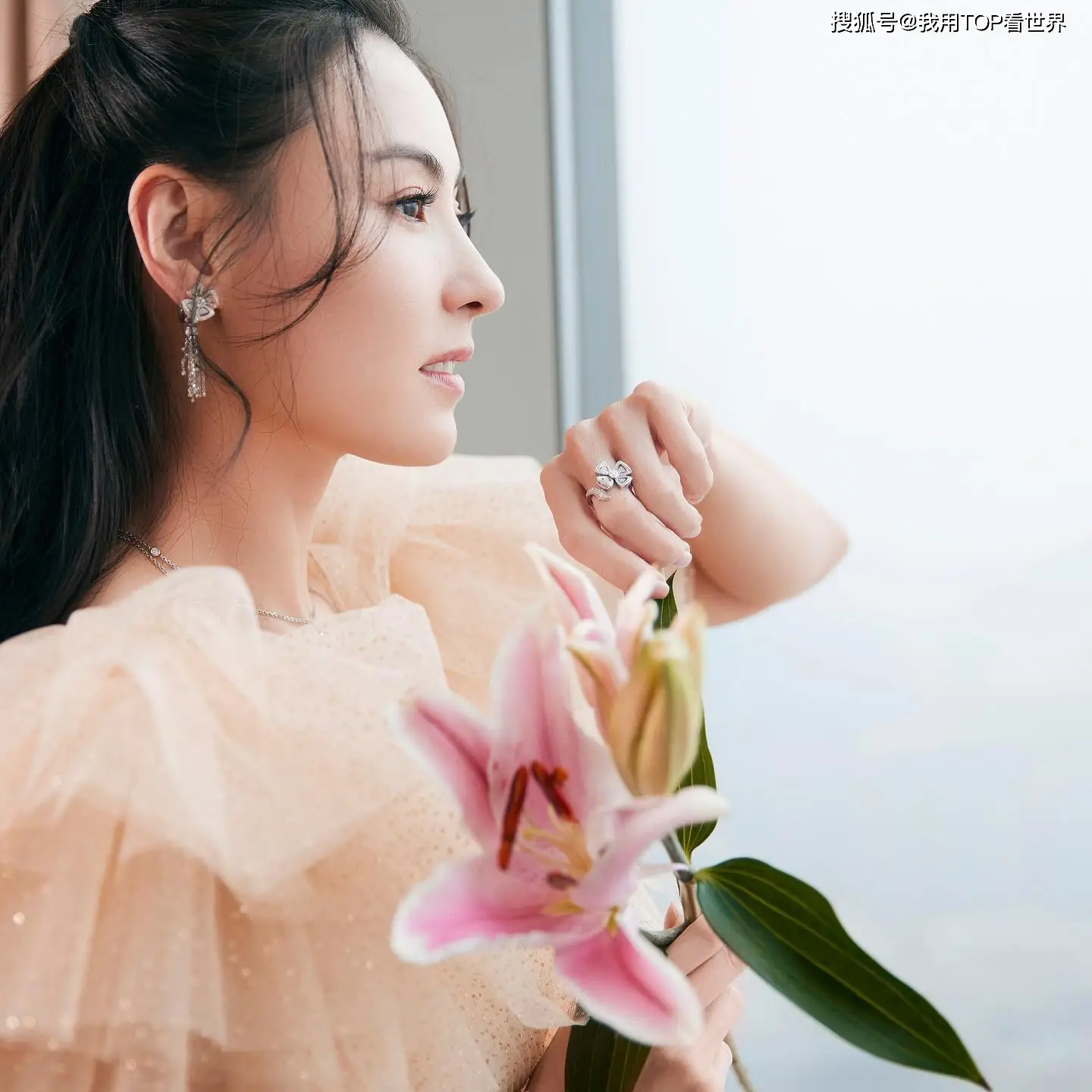 张柏芝：娱乐圈清流，绝世容颜与坚韧魅力的完美结合