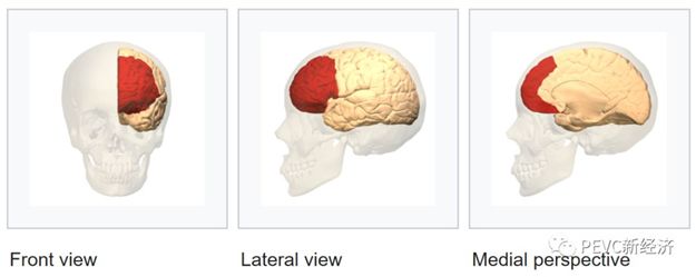 选择数字货币的心理学与决策_数学货币政策_货币学理论