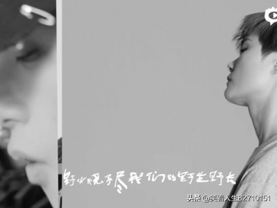 晨会激励小故事及感悟_油画创作感悟_李宇春的创作感悟激励了无数年轻音乐人