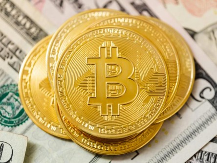 欧意交易所市场动态分析：交易量增长与价格波动趋势解读