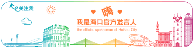 海口高质量建设自贸港核心区：五年成就与未来发展展望